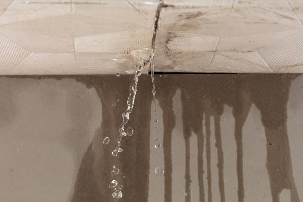 Professional Sewage Cleanup technician working in Arden, NC